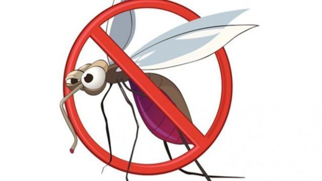 Avviso: intervento di disinfestazione contro le zanzare 🦟