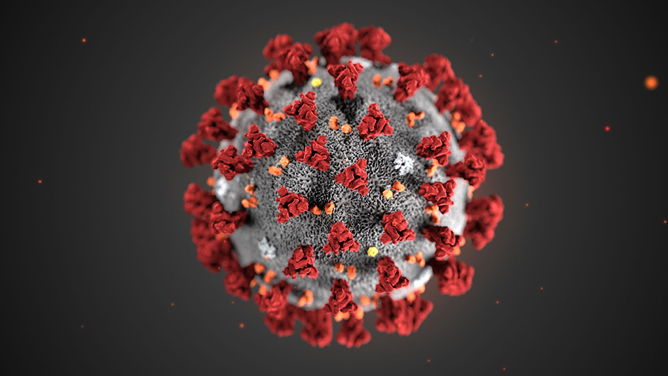 Prime misure di prevenzione del Coronavirus